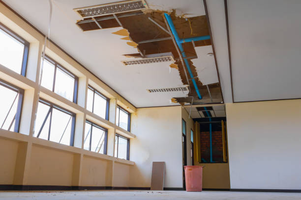 Best Fire Damage Restoration  in Watertown, FL