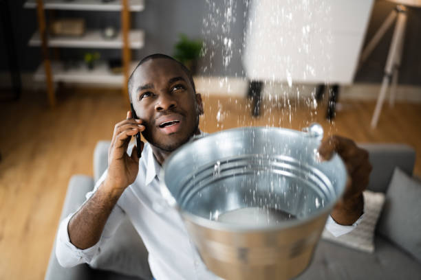 Best Local water damage restoration  in Watertown, FL