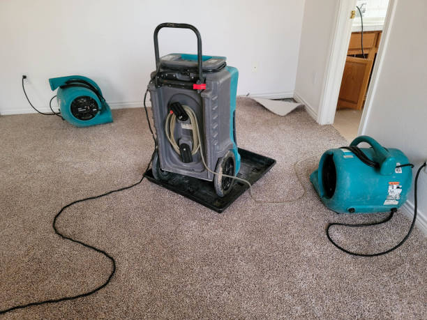 Best Water damage restoration near me  in Watertown, FL