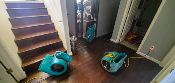 Best Professional water damage repair  in Watertown, FL