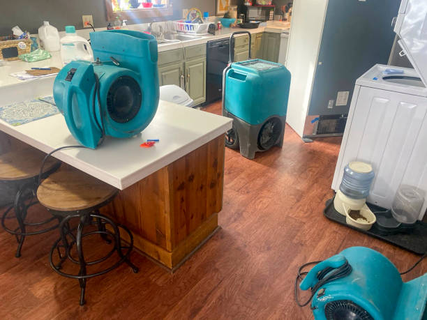 24/7 water damage repair in FL