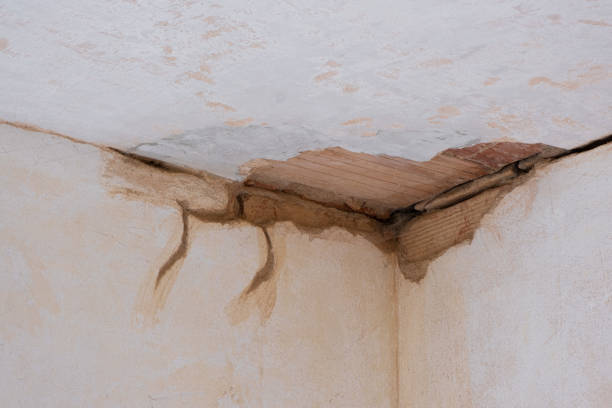 Best Emergency water damage restoration  in Watertown, FL