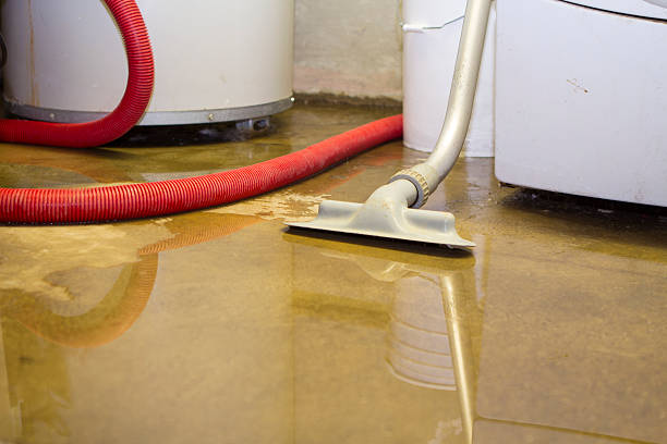 Best Flood restoration services  in Watertown, FL