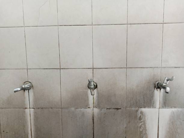 Best Sewage cleanup and water damage restoration  in Watertown, FL