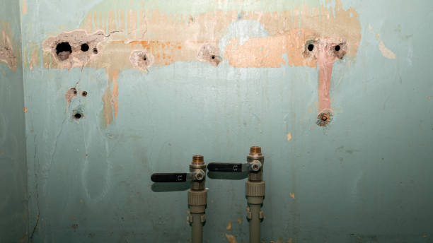 Best Residential water damage restoration  in Watertown, FL
