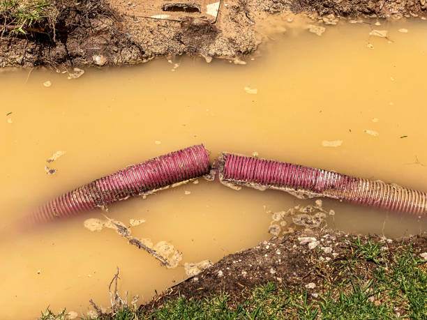 Best Residential water damage restoration  in Watertown, FL